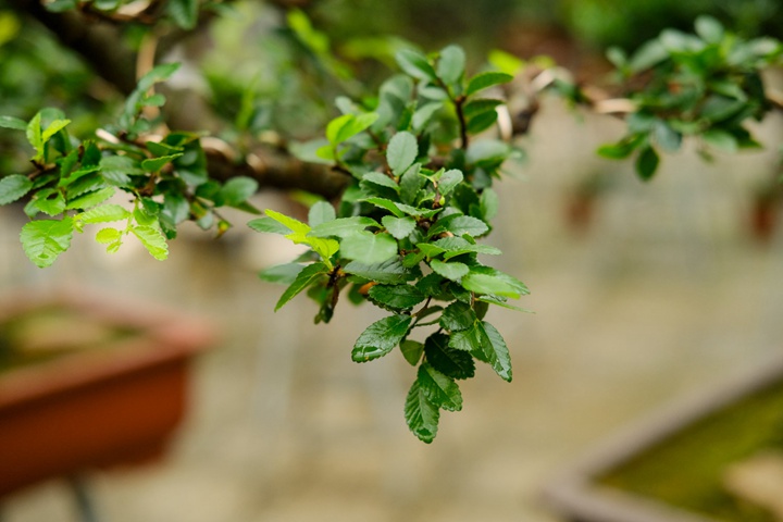 1663816561160448.jpg DSCF4328.jpg